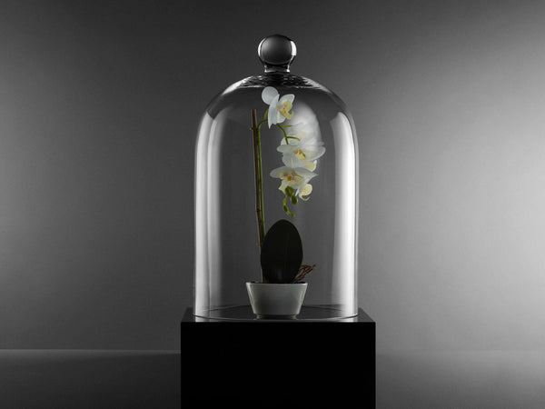 Discover the Grandeur of Large Cloches: A Statement Piece from Novenary - Novenary