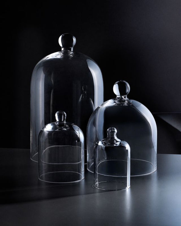 Elevating Interiors with Glass Cloches: A Blend of Functionality and Style - Novenary