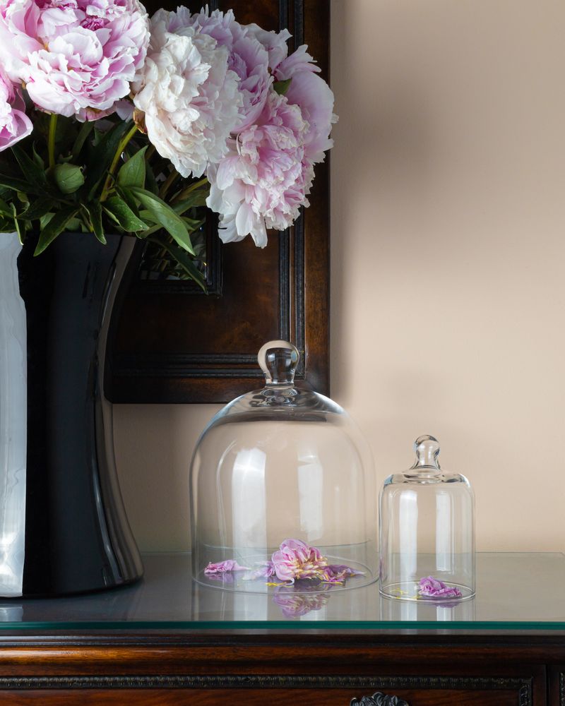 The Timeless Appeal of Glass Domes in Modern Home Decor – Novenary